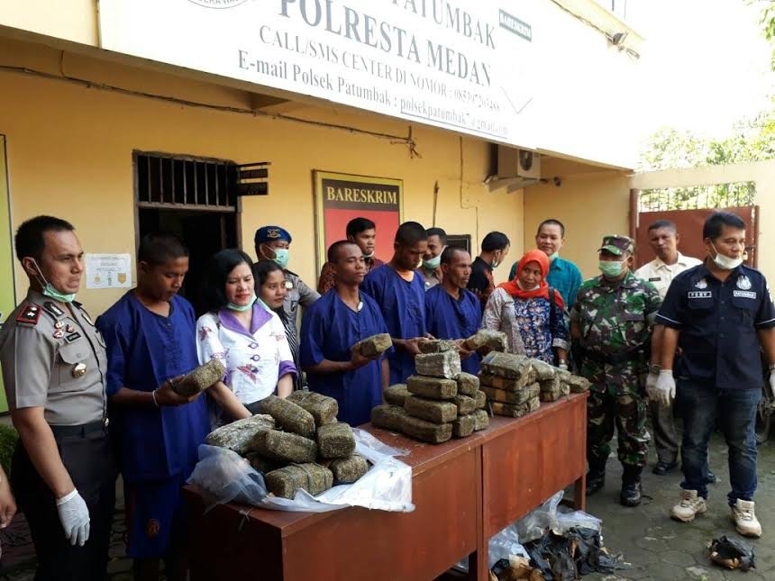 Mapolsekta Patumbak Musnahkan 42 Bal Ganja Kering.