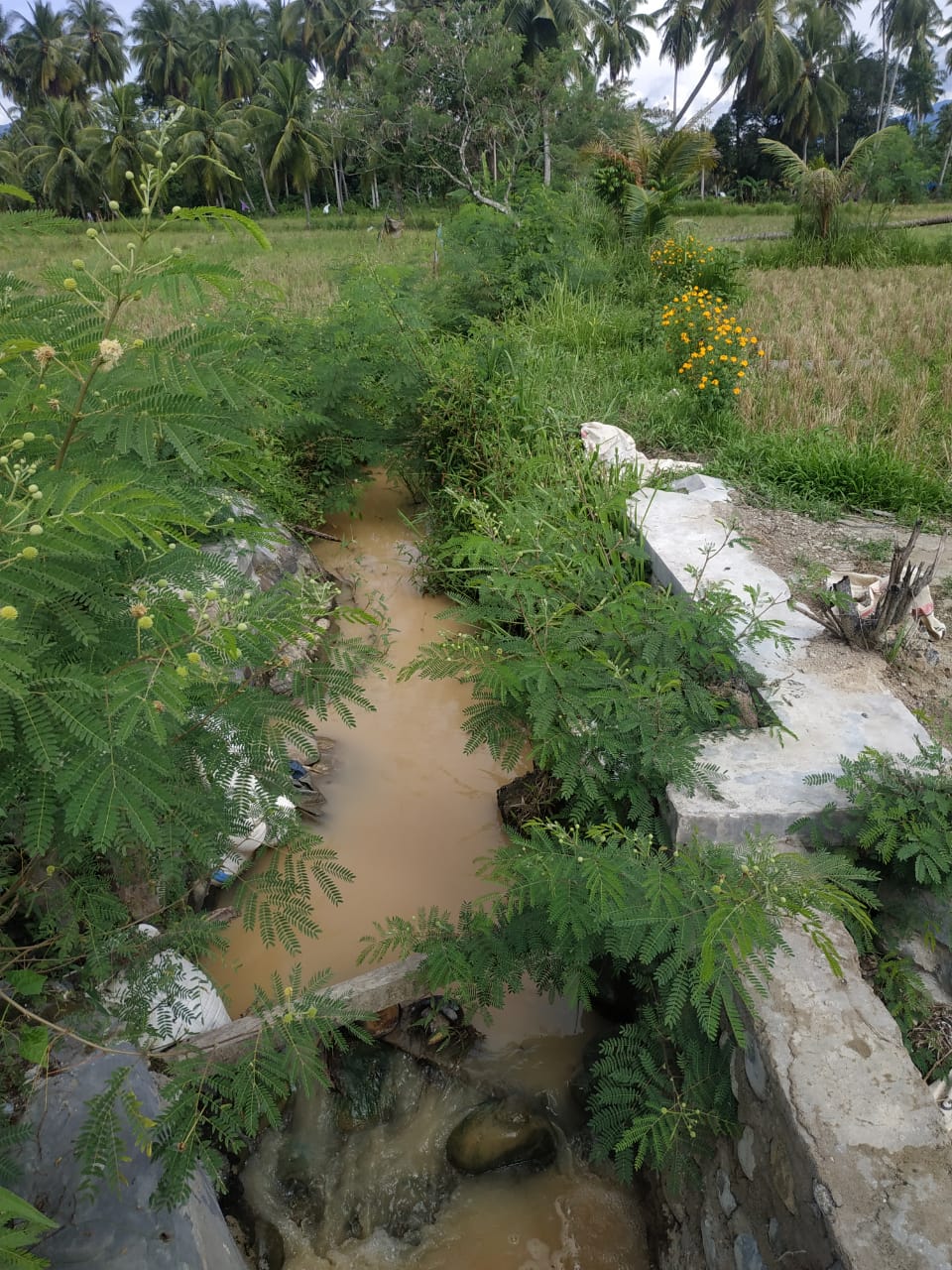 Liputan Kegiatan DD Panyabungan Barat (2), BPKP Sumut Harus Auidit Inspektorat dan Kades
