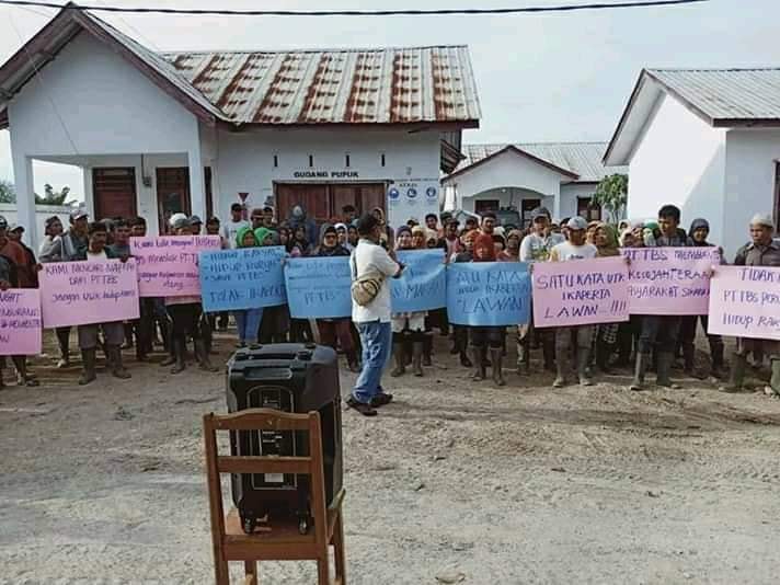 Sekitar Mangrove, Edisi Terbaru,  Bupati Madina Surati PT.TBS, Protes Muncul
