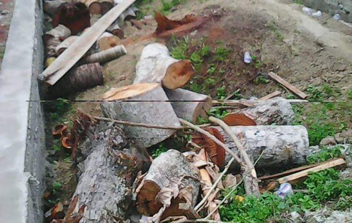 Warga Desa Aek Mual ke Malintang Pos,  Minta Tipikor Polres Madina Periksa Kepala Desa