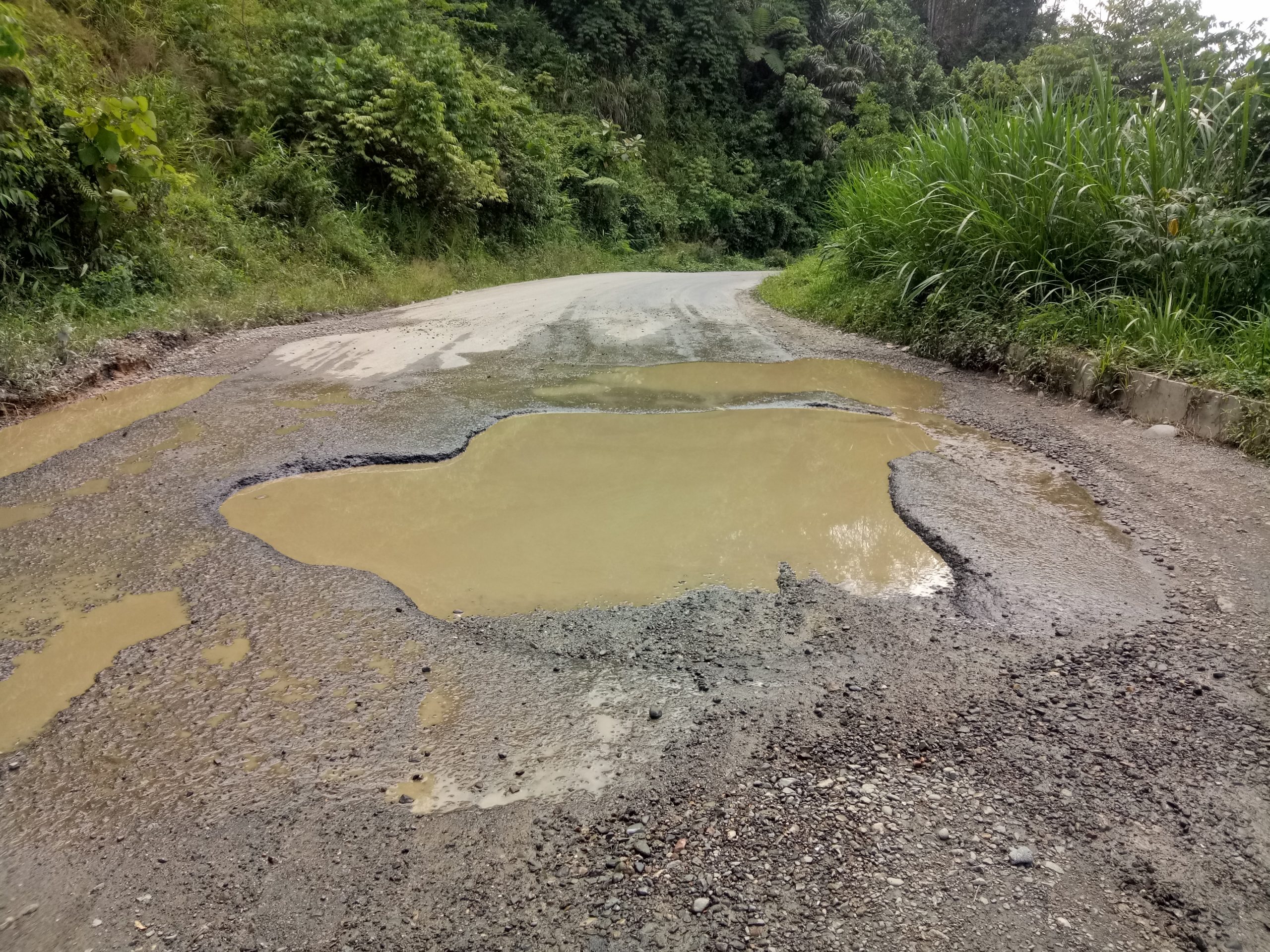 Hallo Pak. Gubsu, Jalinsum di Muarasipongi Berlobang