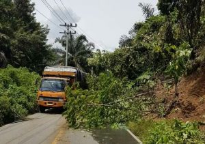 Longsor di Kotanopan
