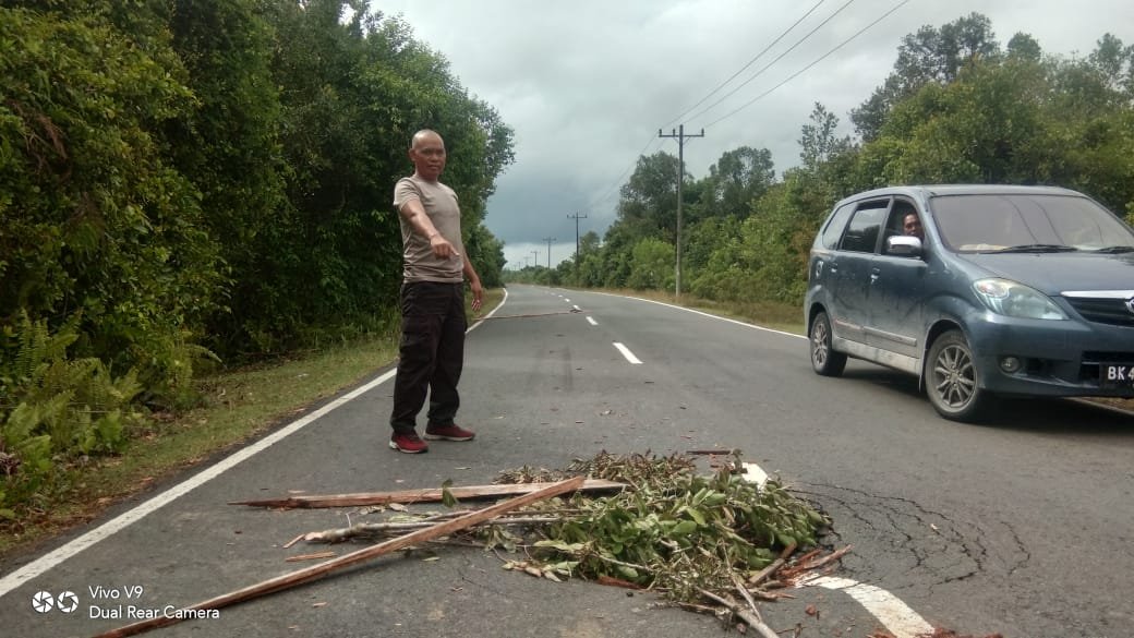 Memprihatinkan, Jalinsum Di Pantai Barat Kab.Madina Dipersempit Semak Belukar