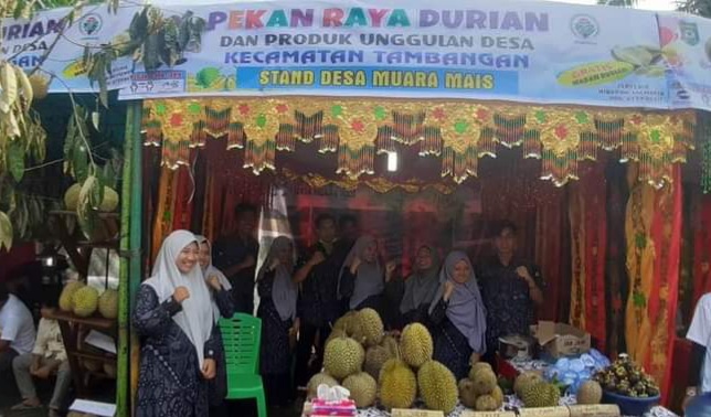 Luar Biasa..! 30.000 Buah / Hari Durian Dari Kec.Tambangan