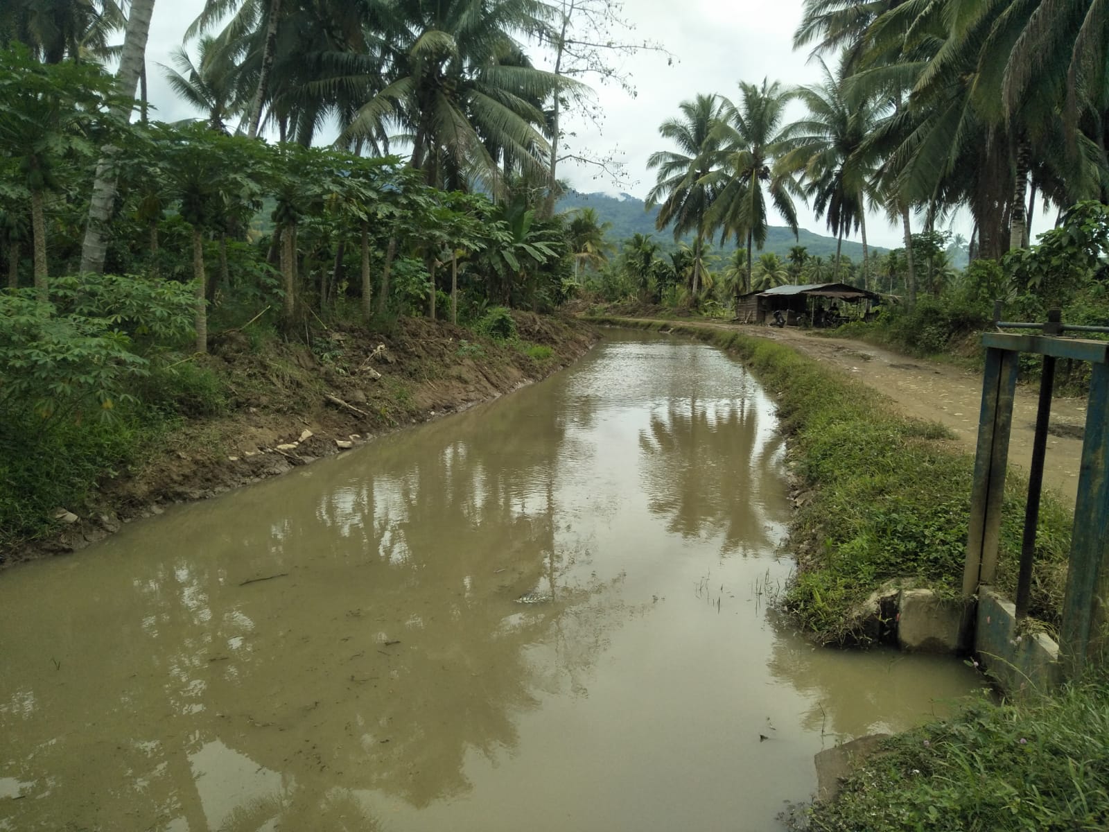 Horeee, Air Ke Sawah Warga Nagajuang Mengalir