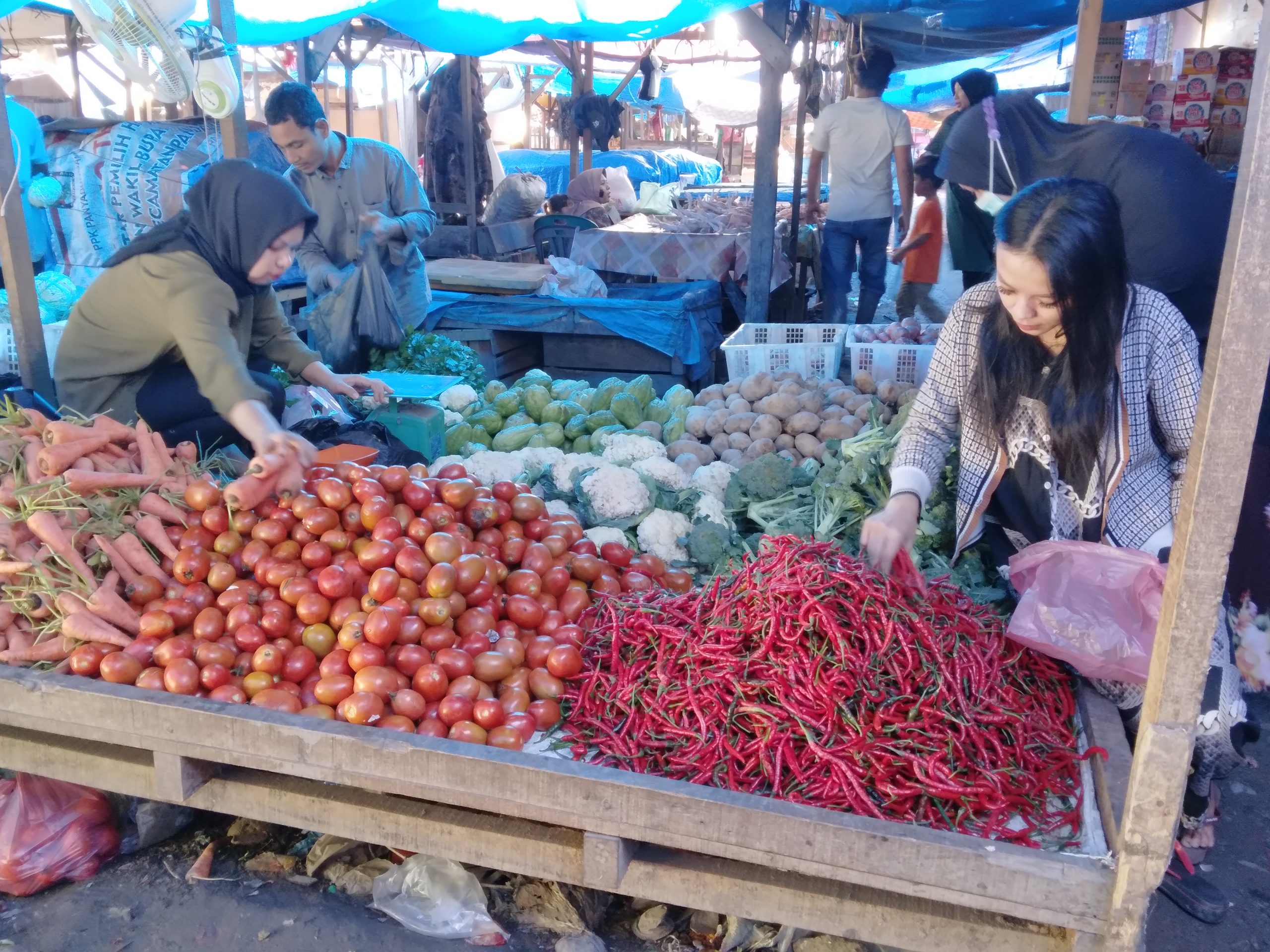 Dari Siborong -Borong, Cabe Merah Tembus Rp 100.000/ Kg di  Mandailing Natal