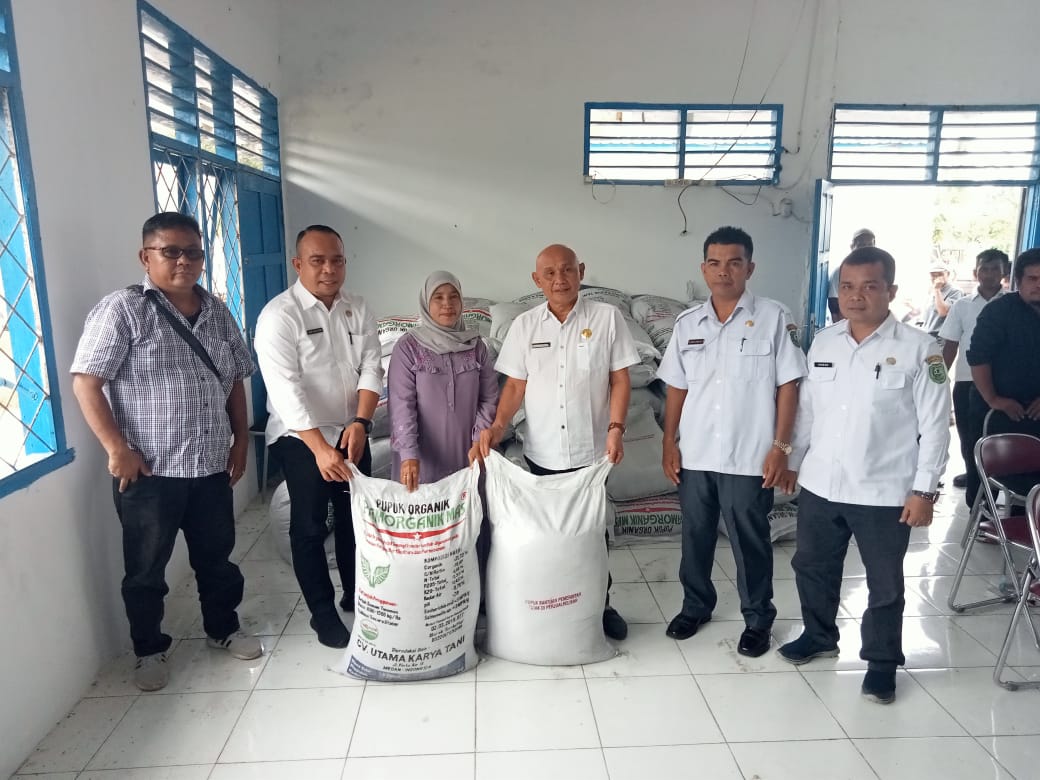 Di Desa Darussalam,Dinas Pertanian Madina Salurkan Bibit Untuk Kelompok Tani