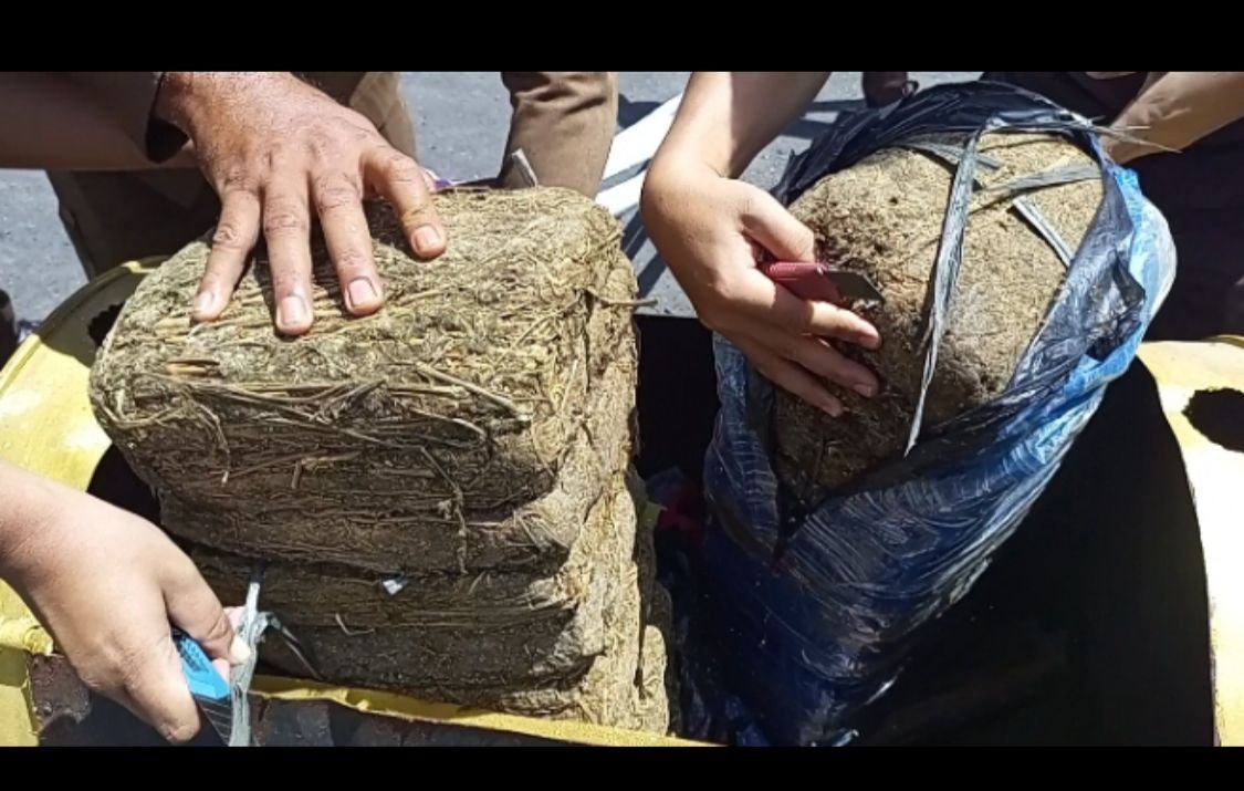 Kejaksaan Negeri Mandailing Natal Musnahkan BB Yang Sudah Inkracht