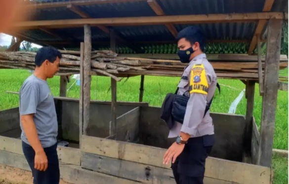 Bhabinkamtibmas Polsek Panyabungan Sosialisasikan PMK Kepada Warga Desa Kampung Baru