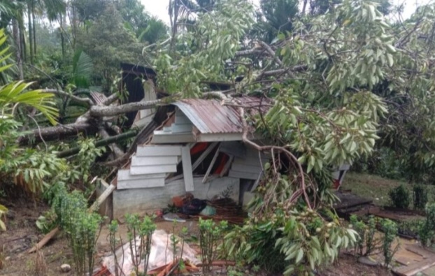 ” Pencari Emas ” di Aek Holbung Kec.Batang Natal 4 Meninggal, 4 Luka Berat dan Ringan