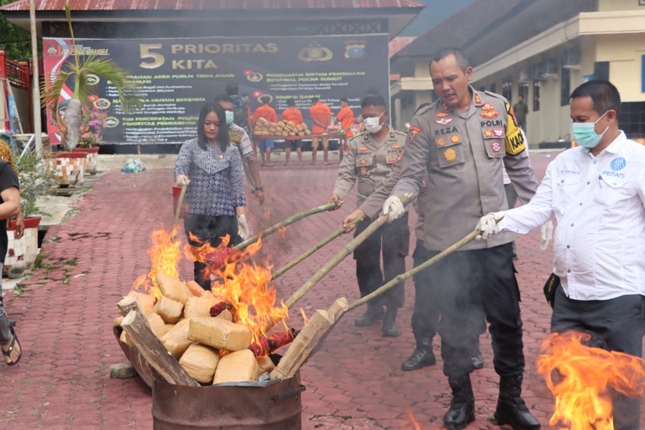 Hasil Tangkapan 1 Bulan, 91 Bal Ganja Kering Dimusnahkan Polres Mandailing Natal
