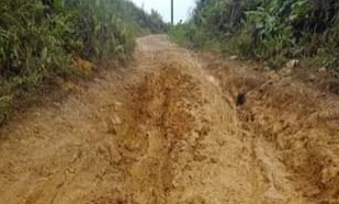 Kalau Jalan Tidak Dibangun, Warga 6 Desa di Kec.Linggabayu di Pileg 2024 Jangan Mau Disuap Calon DPRD