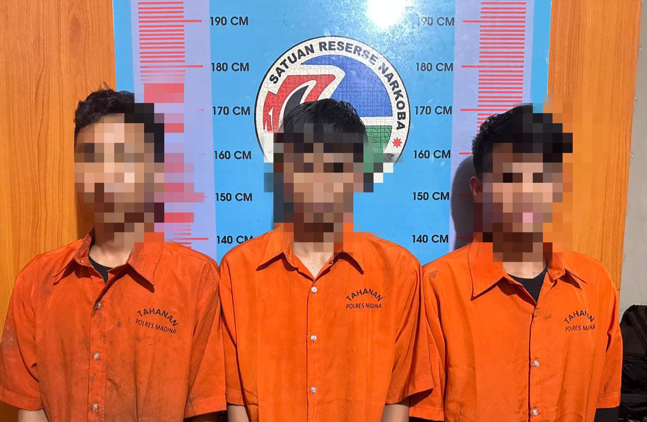 Bawa Ganja dan Sabu, 3 Warga Provinsi Sumbar Ditangkap Polres Mandailing Natal