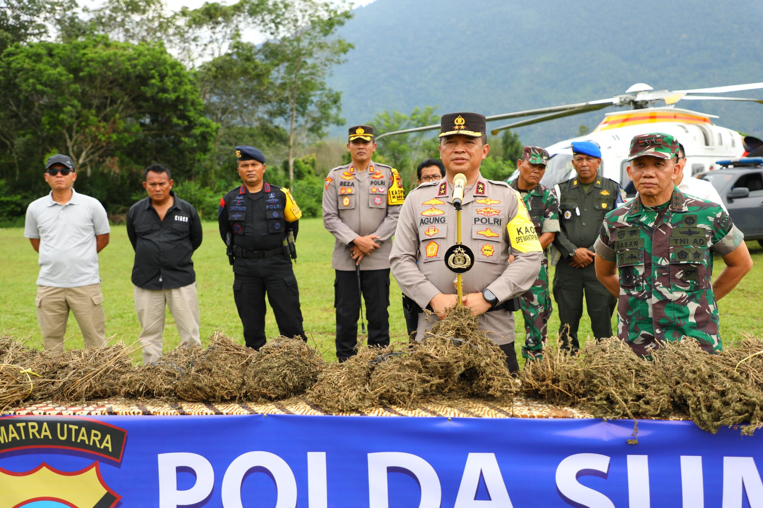 Kapoldasu dan Pangdam I/BB Pimpin Operasi Perburuan Ladang Ganja di Mandailing Natal