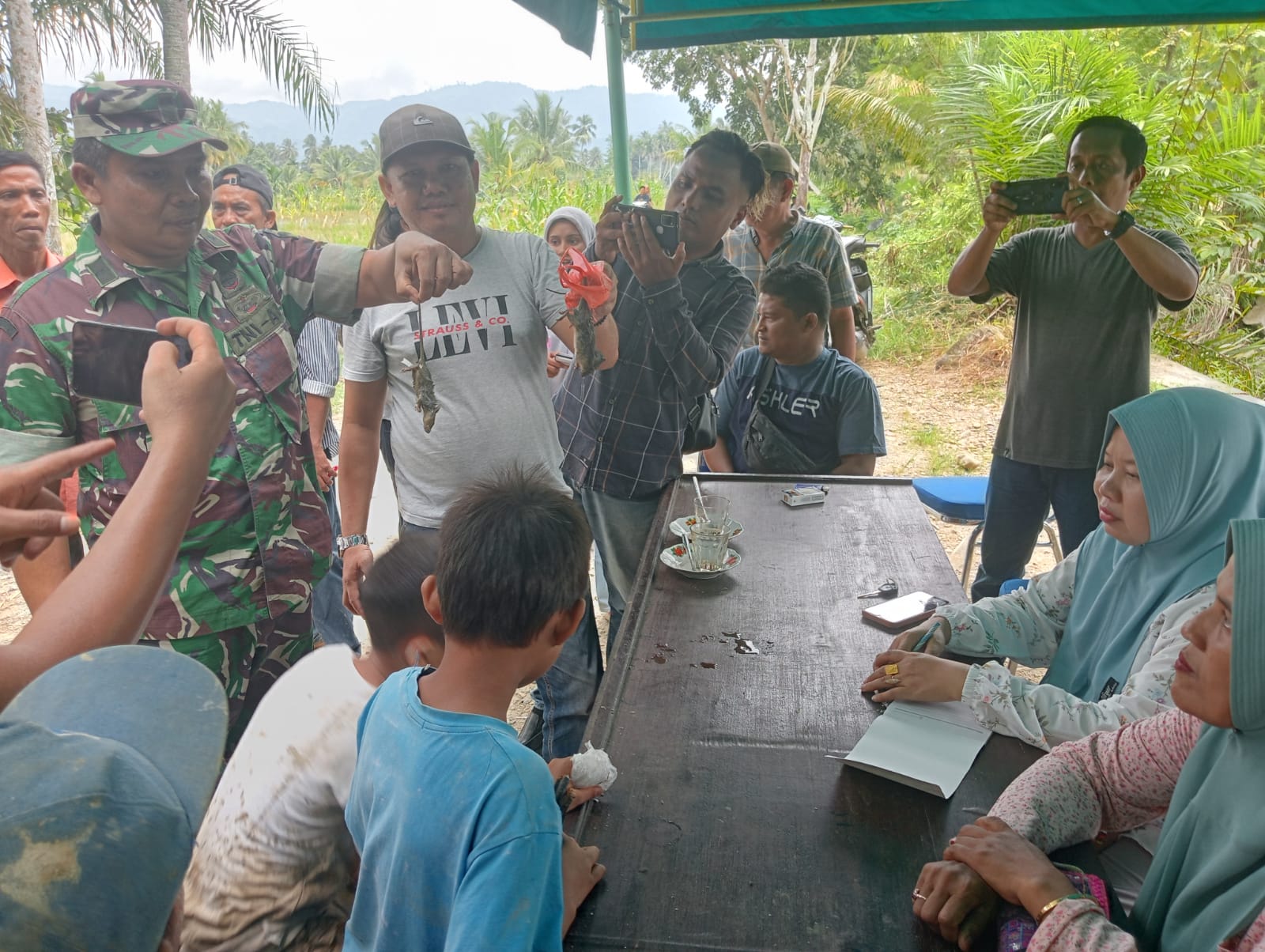 Petani Huraba dan Kadis Pertanian Madina Bunuh 498 Tikus di Saba Padang Nabolak