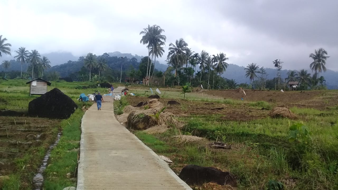 Warga Desa Lubuk Samboa Kec.Batang Natal Membutuhkan Pembangunan Irigasi Persawahan