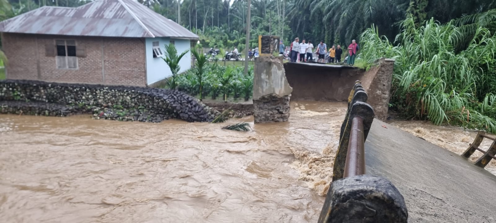 Breaking News, Jembatan Aek Siabu di Kec.Ulu Sosa Kab.Padang Lawas Ambruk