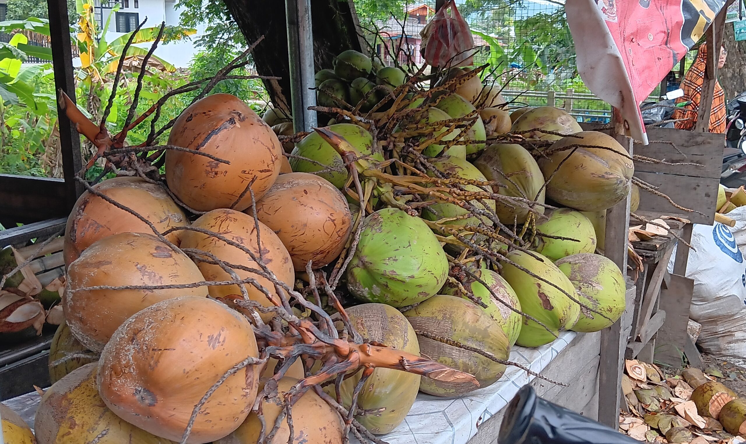 Melirik Pedagang Musiman di Ramadhan Tahun 1445 H di Jln.Lintas Timur Kota Panyabungan.