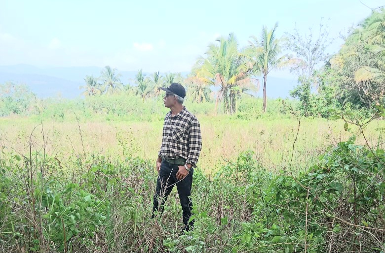 Akibat Galian C Illegal, Ratusan Hektare Areal Pertanian di Padang Lawas