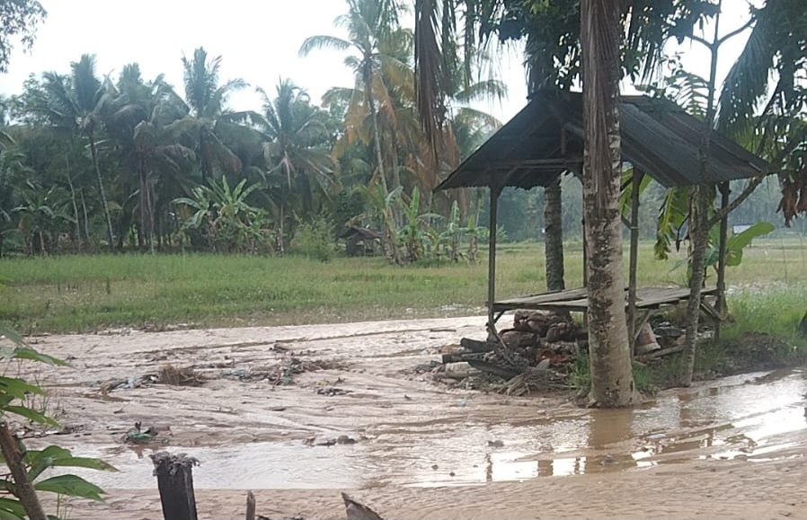 Dampak Pembangunan Bandar Udara di Kec.Bukit Malintang ” Semua Bungkam “