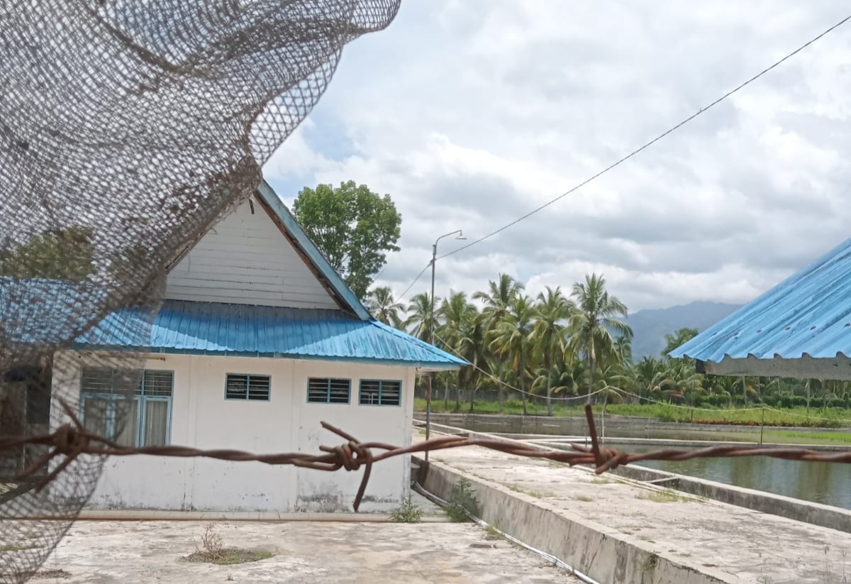 Target PAD Minim, BBI Saba Jambu dan Tanjung Mompang Disoroti Warga Mandailing Natal