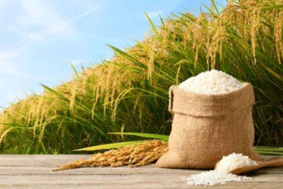 Soal Beras di DD Tahun 2024, LSM Desak BPKP Sumut Periksa  17 Kades di Kec.Linggabayu