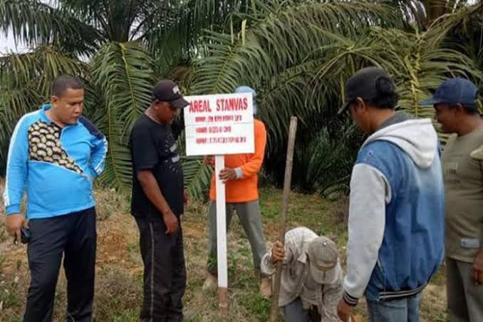 Irsal Tegaskan Status Stanvas di Batahan Belum Dicabut