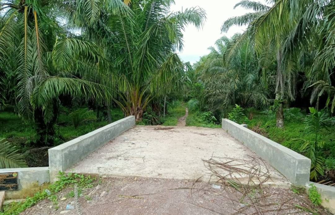 Soal DD Bintuas, Warga Desak Kajari Madina Periksa Kades