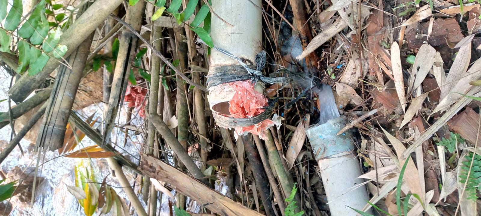 Sekitar Air Bersih Warga Sibanggor Julu, PT.SMGP Harus Tanggung Jawab