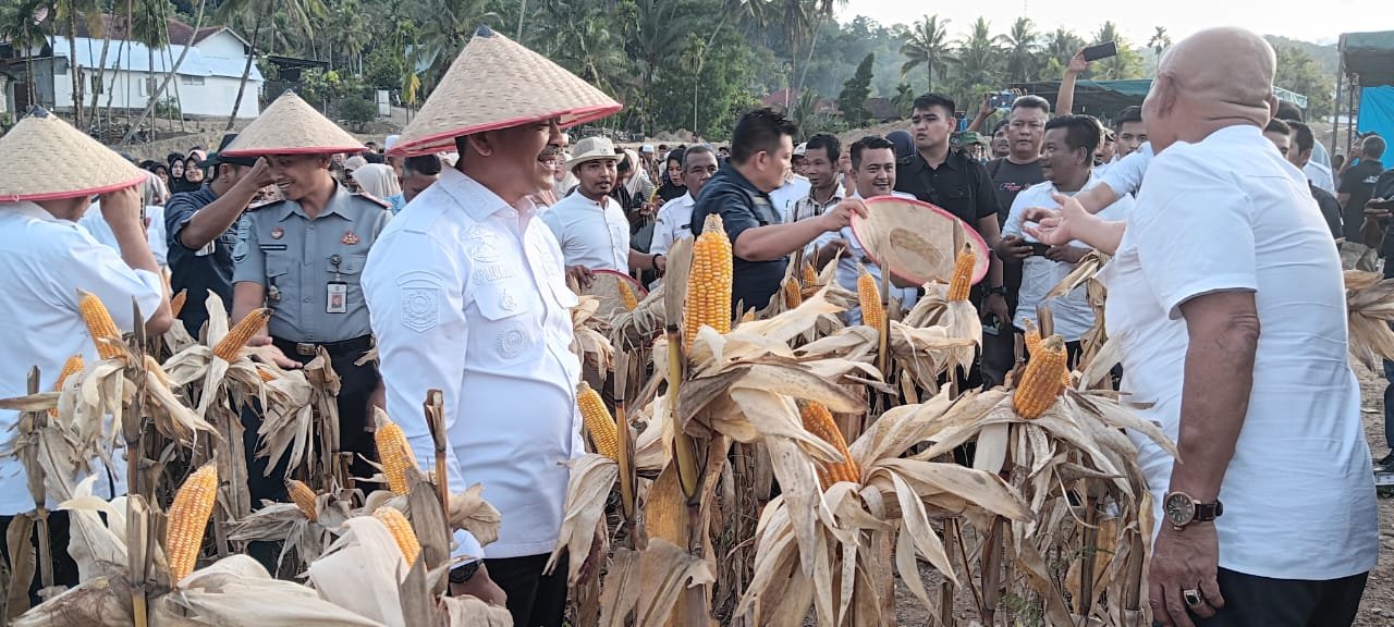 Pertambangan Emas Tanpa Izin Perlu Menjadi Perhatian Bersama, Bupati Madina : Lahan Eks.Tambang Emas Bisa Profuktif di Kotanopan.