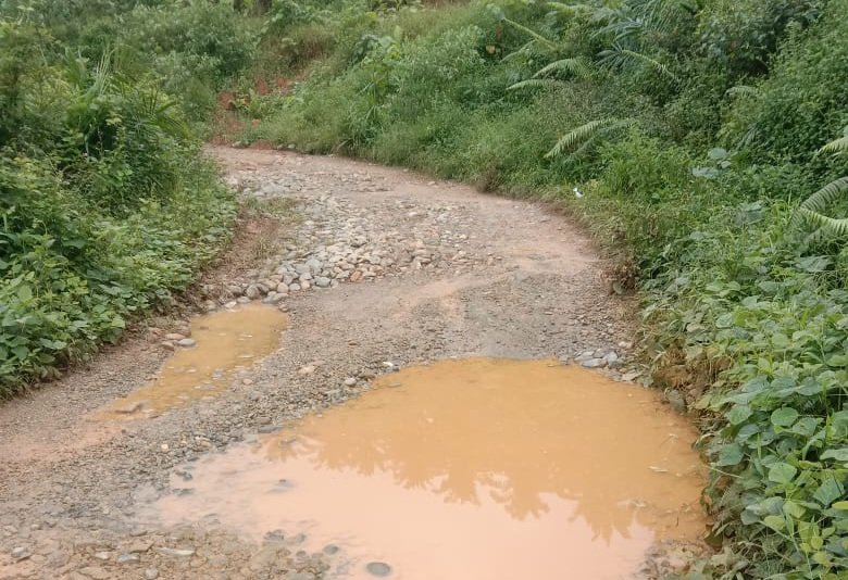 Memprihatinkan Infrasturuktur Jalan di Kec.Linggabayu, Warga Datangi Redaksi Media PT.Malintang Pos Group