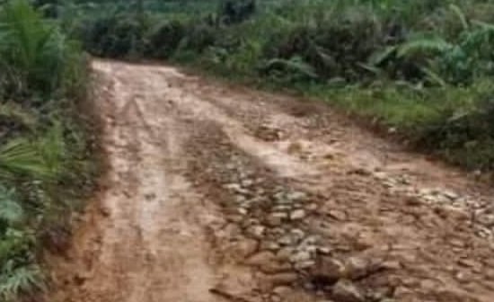 Bupati dan 40 Wakil Rakyat Madina Menjadikan Pembangunan Infrasturuktur Jalan di 5 Desa Kec.Linggabayu Skala Prioritas Tahun 2026