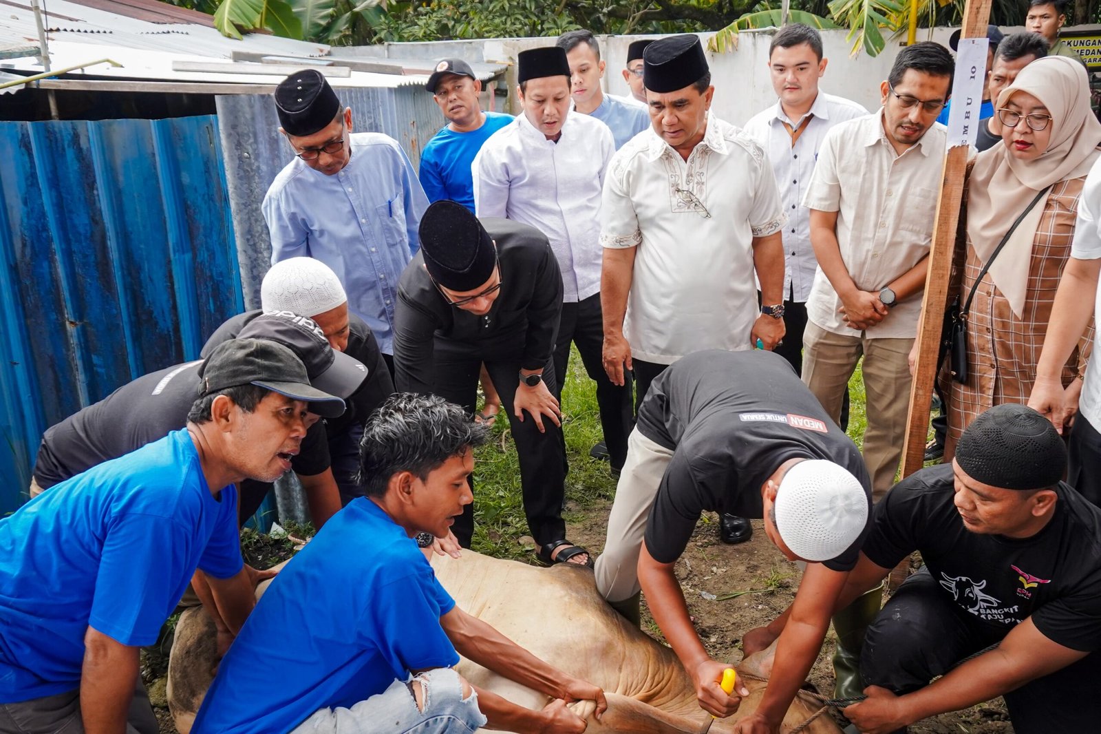 Saksikan Pemotongan Hewan Kurban, Walikota Medan Harapkan Berkurban Dapat Bersihkan Hati Dari Sifat Buruk