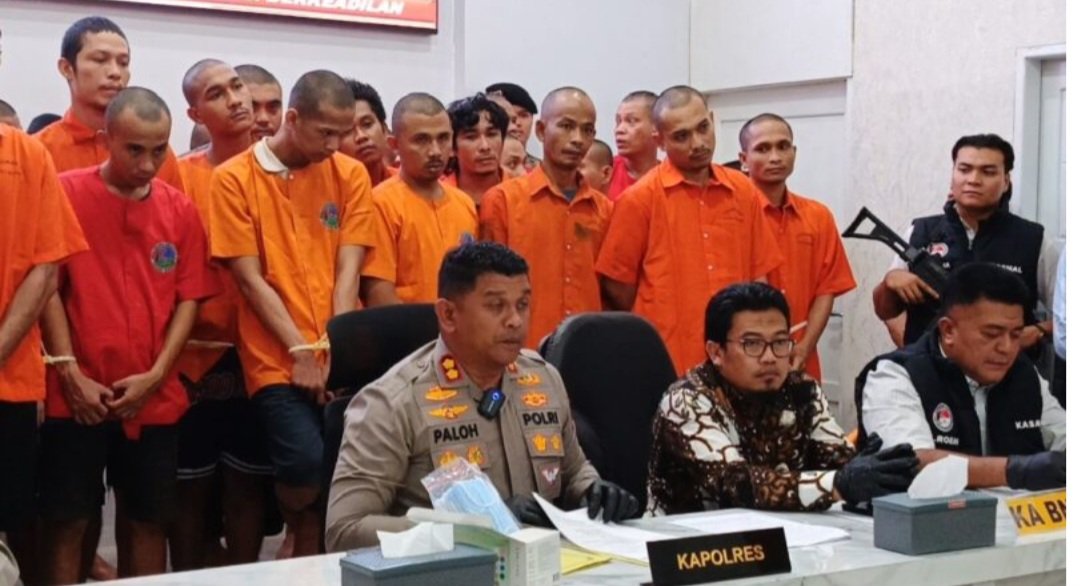 Bukti Komitmen Polres Madina Ungkap Narkoba, 36 Orang Ditangkap, Ladang Ganja Ditemukan