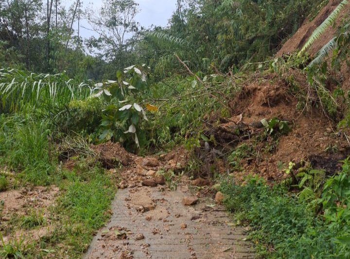 Desa Batahan Kec.Kotanopan Terisolir Karena Longsor di 13 Titik Menuju Desa
