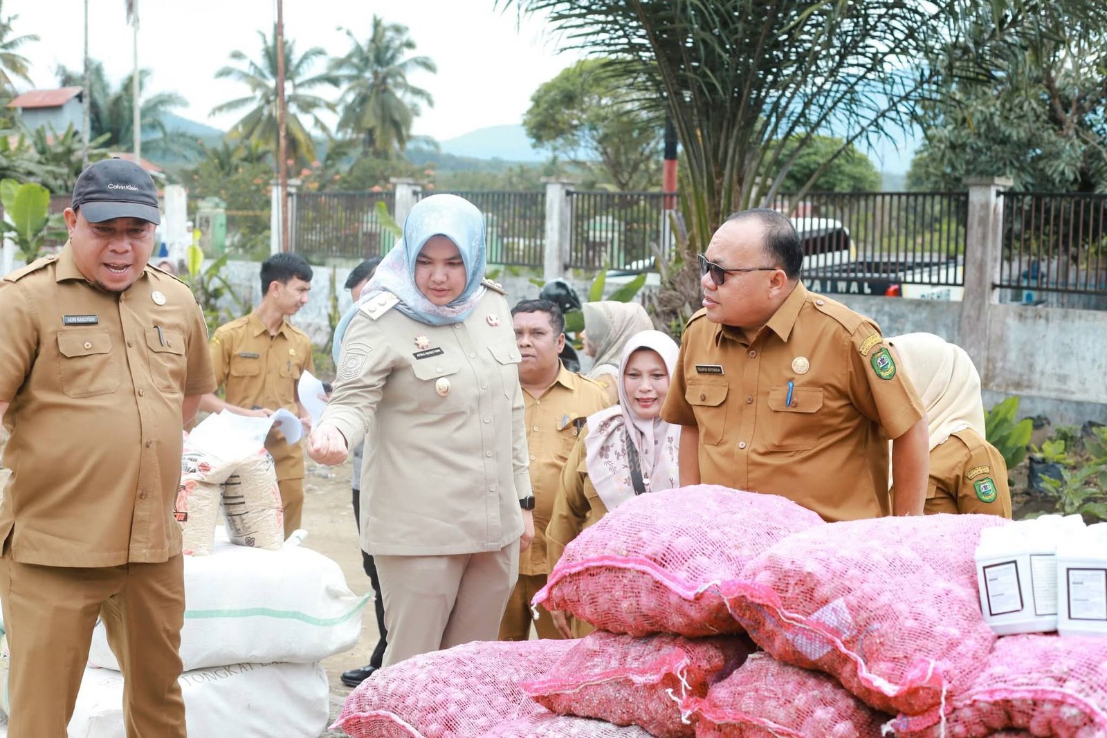 Wabup Madina Salurkan Benih Cabai dan Padi Kepada Poktan