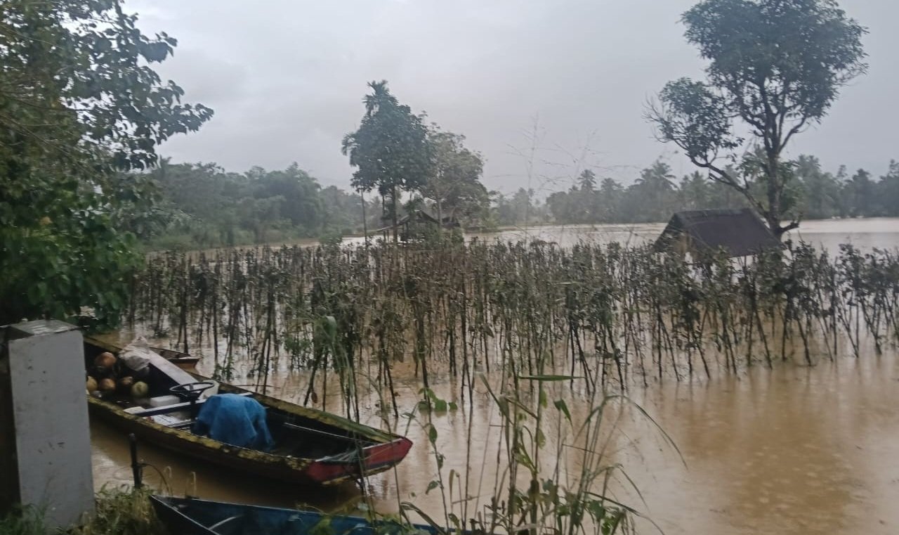Aek Sibontar Meluap, 100 Hektare Areal Petanian di Kecamatan Siabu Dipastikan Gagal Panen dan Gedung SDN Terendam