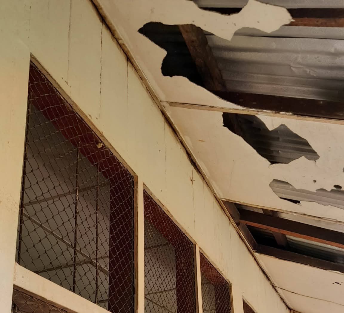 Sekitar SDN 029 Lumban Dolok Yang Kupak – Kapik, ini Komentar Ketua Korwasis