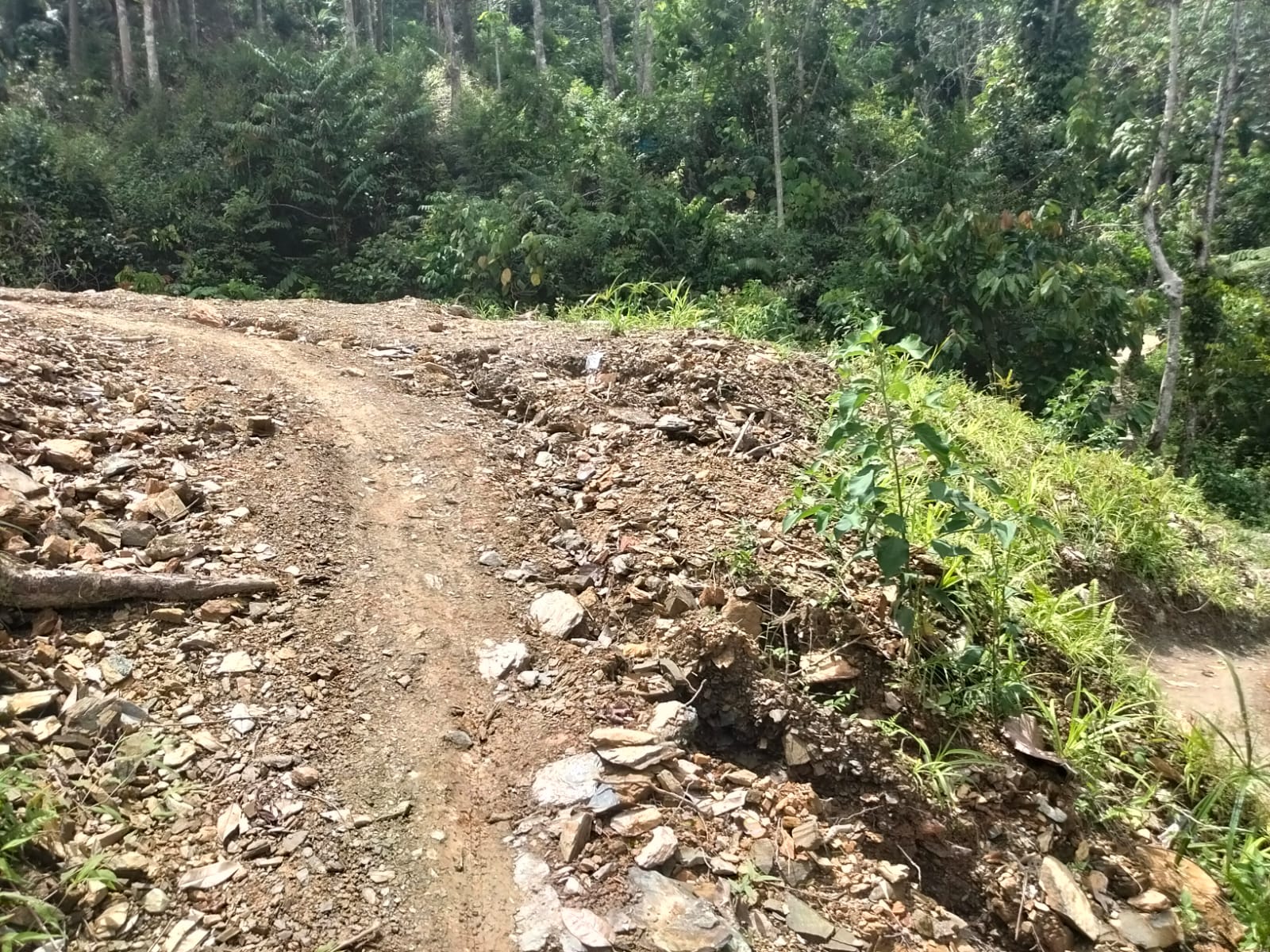 Kades dan Sekdes Kompak Bungkam, DD Jambur Baru Batang Natal Kab.Madina TA 2024 – 2025 Diprotes Warganya