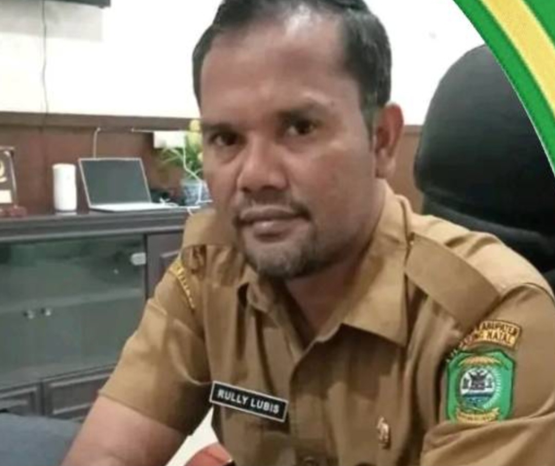 Proyek Jalan Lingkungan Ke Desa Jambur Baru Kec.Batang Natal Belum Lepas Asset