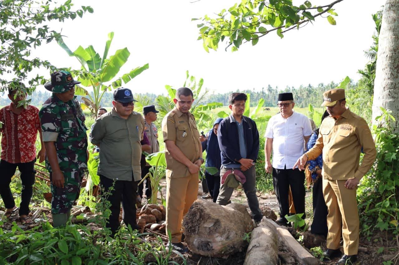 Bupati Madina Sebut Pembersihan Sedimen di Lahan Pertanian Desa Sayurmatua Dimulai Pekan Ini