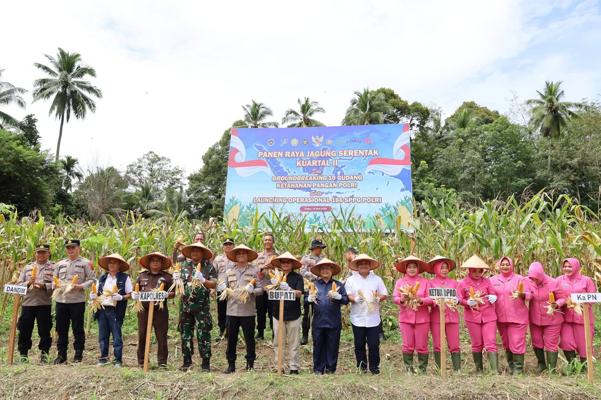 Panen Raya Jagung  dan Launching 4 SPPG Polres di Hadiri Sekda Madina