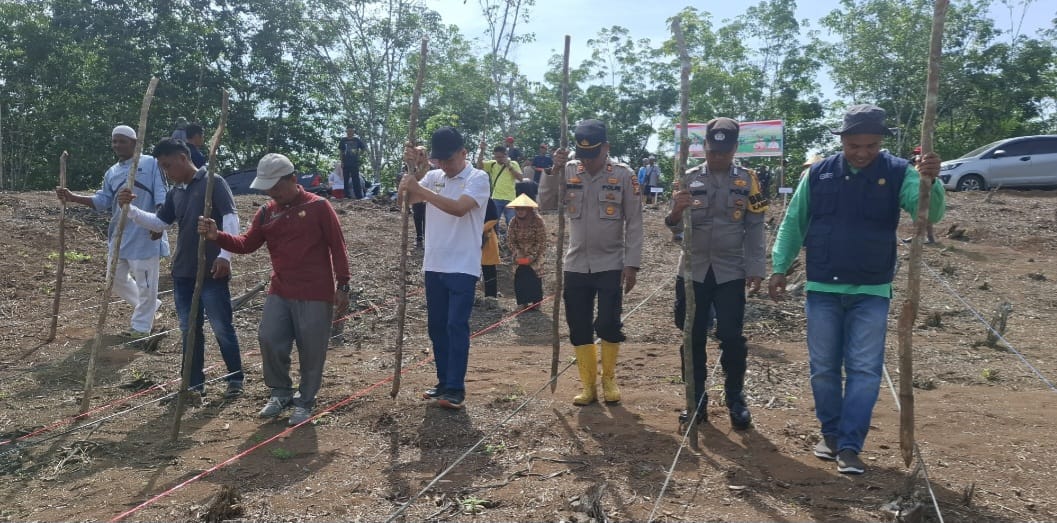Dukung Program Prabowo, Polsek Tambusai Tanam Jagung di Desa Talikumaen Kab.Rokan Hulu