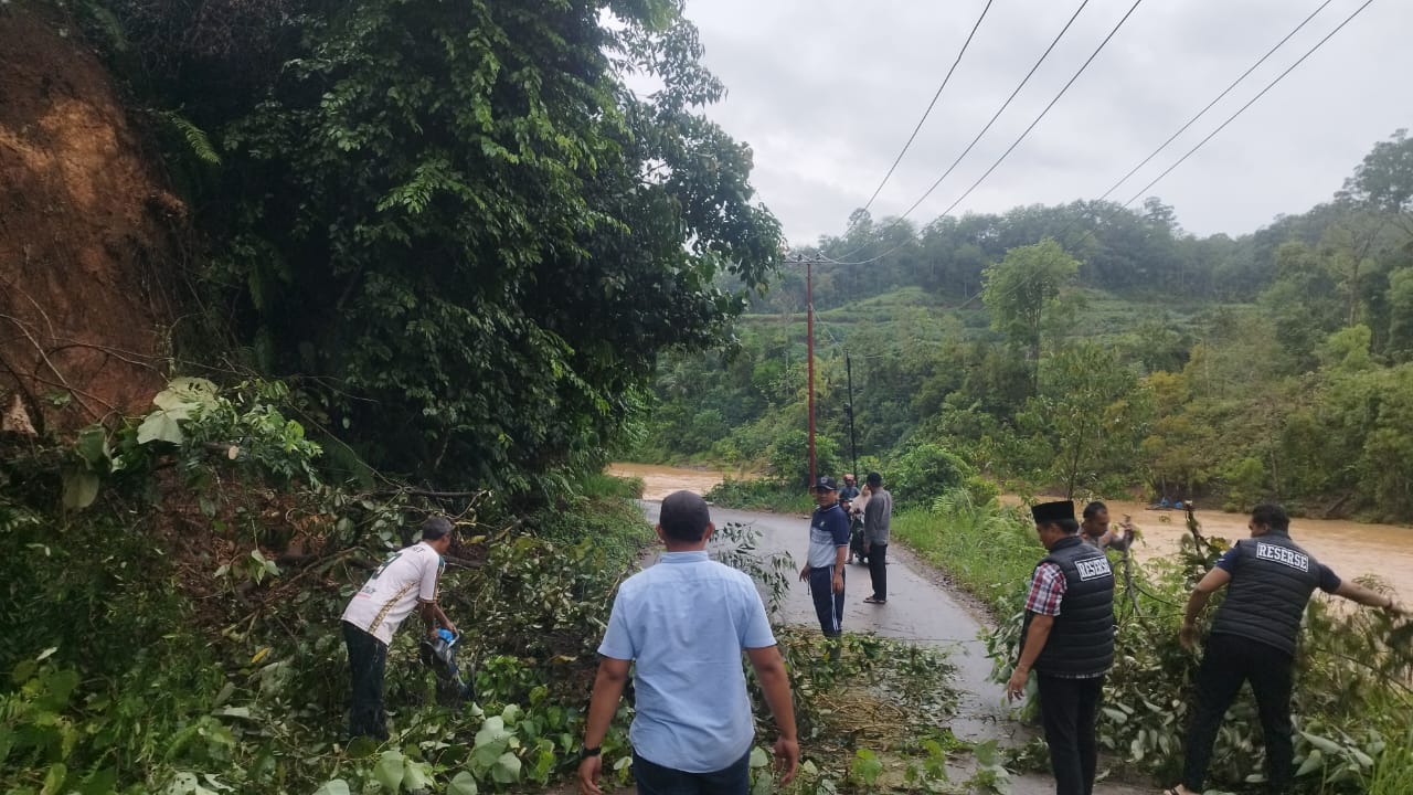 Pohon Tumbang di Simpang Gambir, Polsek Linggabayu Gotong Royong Bersama Warga