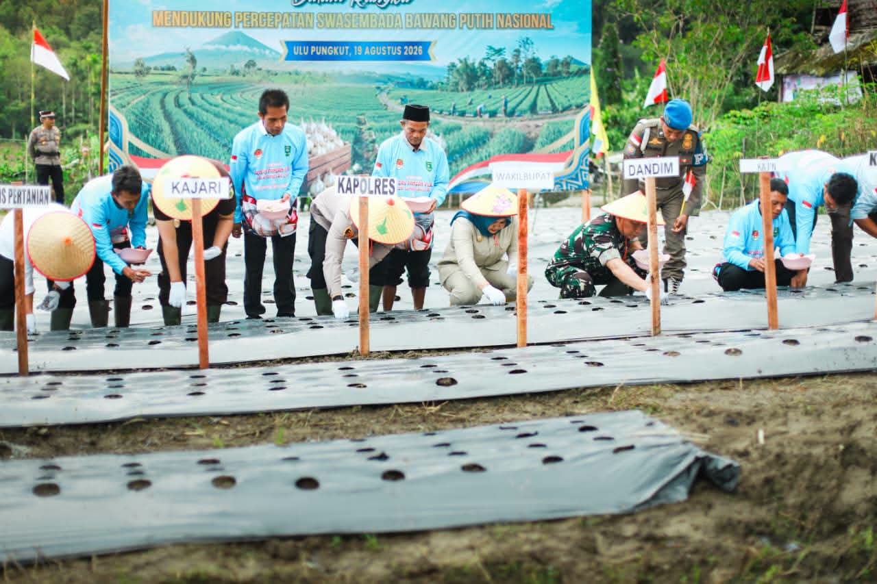 Wabup Madina Turun Ke – Ladang Dukung Program Ketapang Presiden