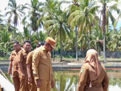 Bupati Madina Usulkan Rehabilitasi Dua BBI Masuk Dalam P-APBD 20206