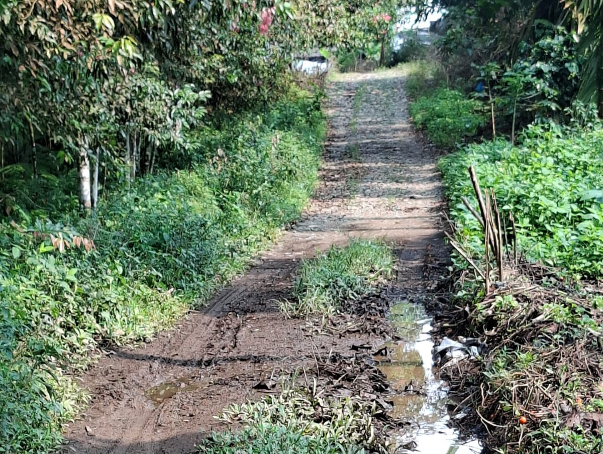Melihat Kondisi Jalan Sentera Produksi Pertanian Warga Kecamatan Puncak Sorik Marapi Mandailing Natal(1)