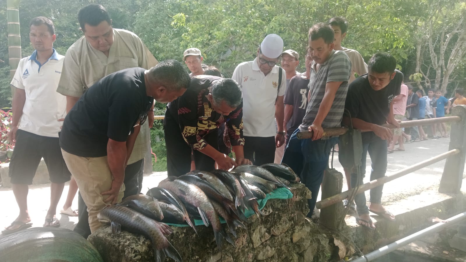 Kadis Perikanan Madina Larang Warga Konsumsi Ikan Jurung Yang Mati Mendadak