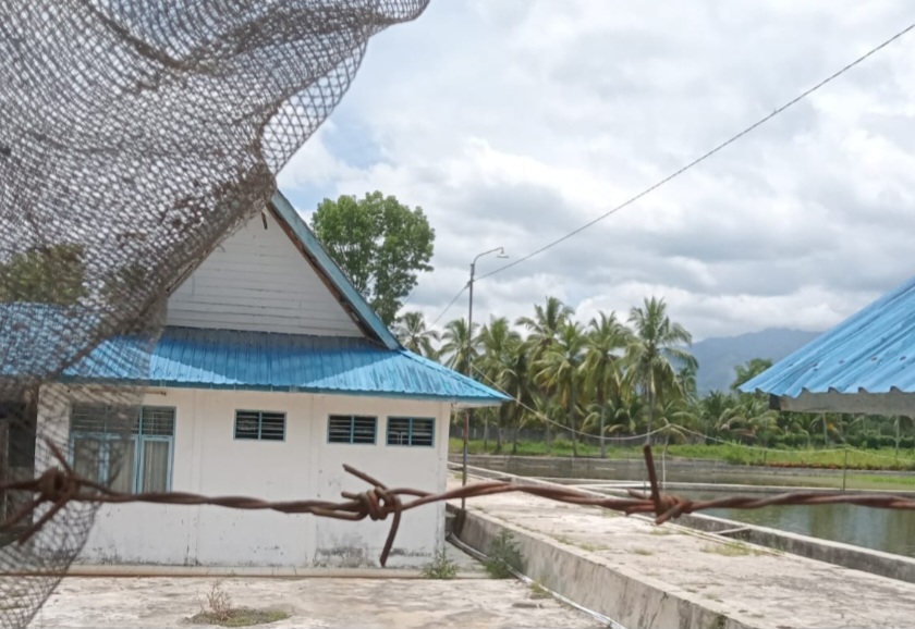 Aktivis dan LSM Dukung Bupati Alokasikan APBD Perubahan 2026 Untuk Perbaiki Dua BBI di Mandailing Natal