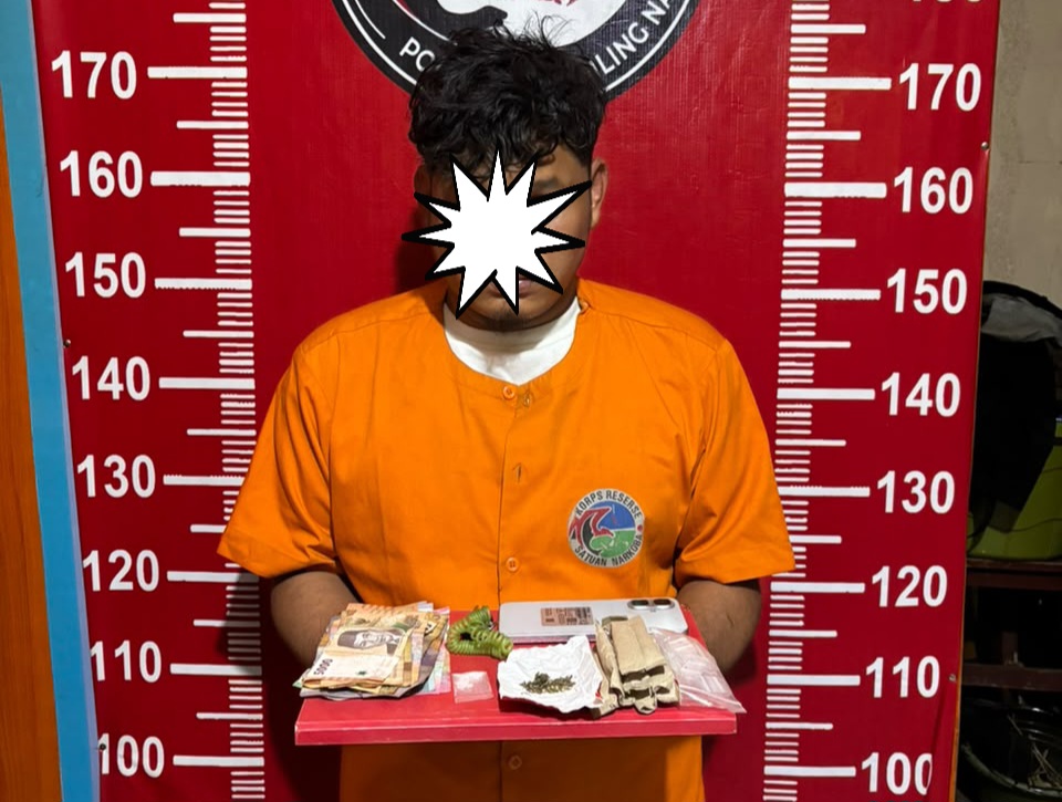 Polres Madina Amankan Pria Bawa Sabu & Ganja di Kel.Longat Kec.Panyabungan Barat